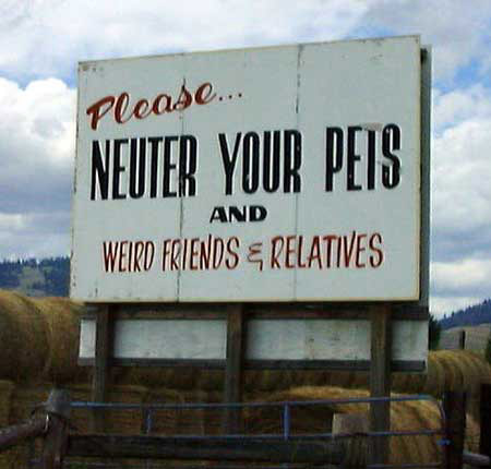 funny neuter