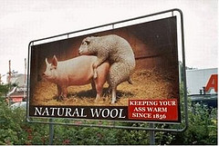 funny wool