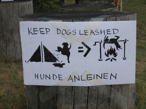 funny dog leash