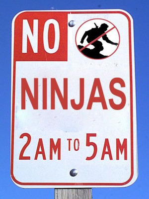 funny ninja