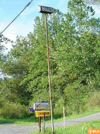 funny tall mailbox