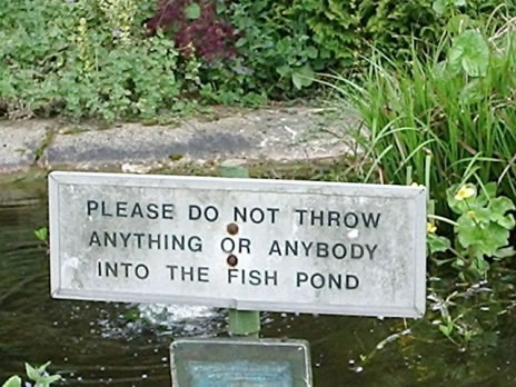 funny pond