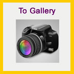 gallery_icon