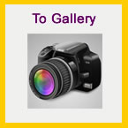 To Gallery